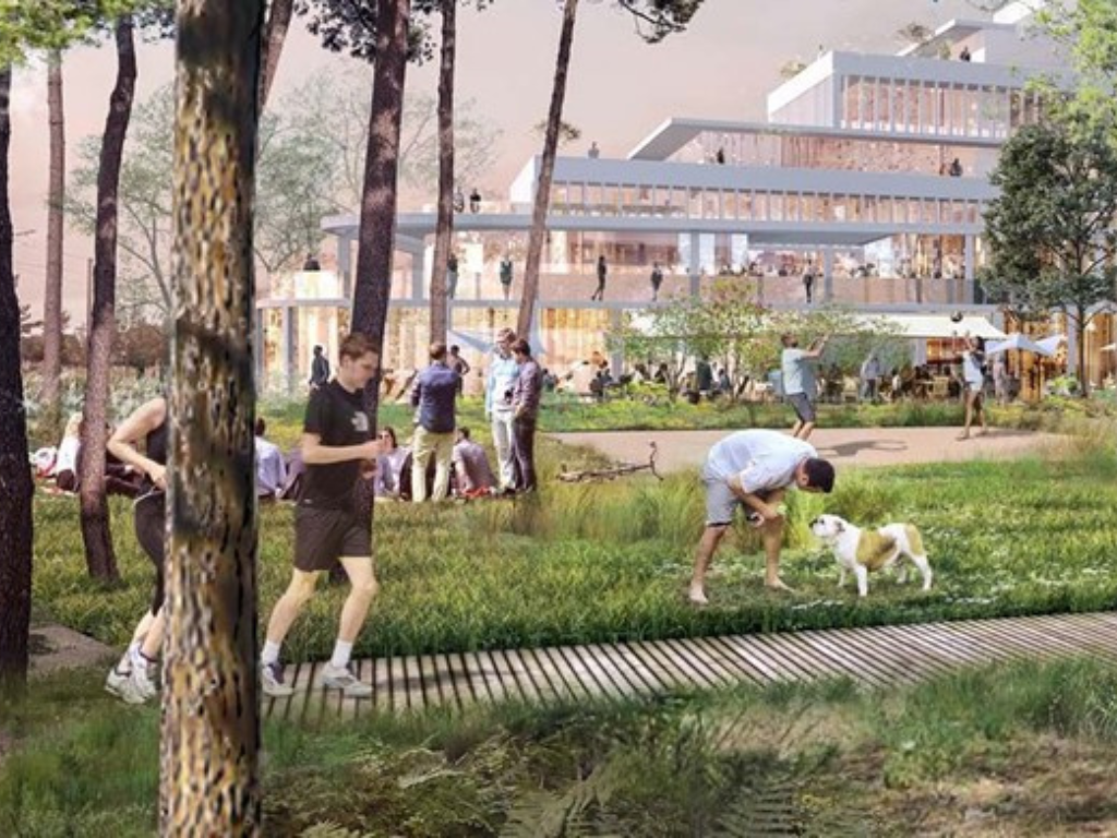 Murs commerciaux bruts de béton – Bordeaux Lac