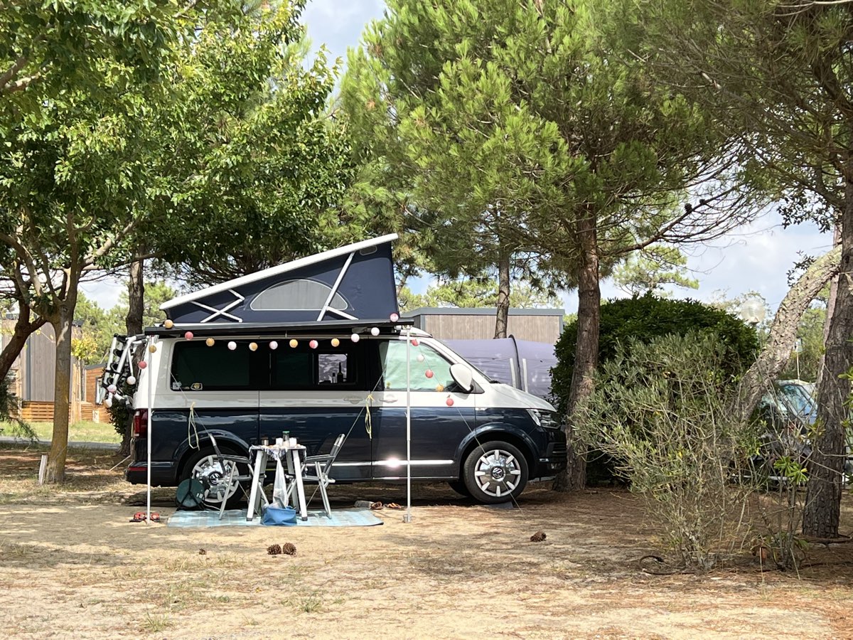 Emplacement nu sous les pins — la typologie des emplacements structure le chiffre d'affaires d'un camping